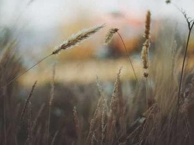 Clean Water Supply service