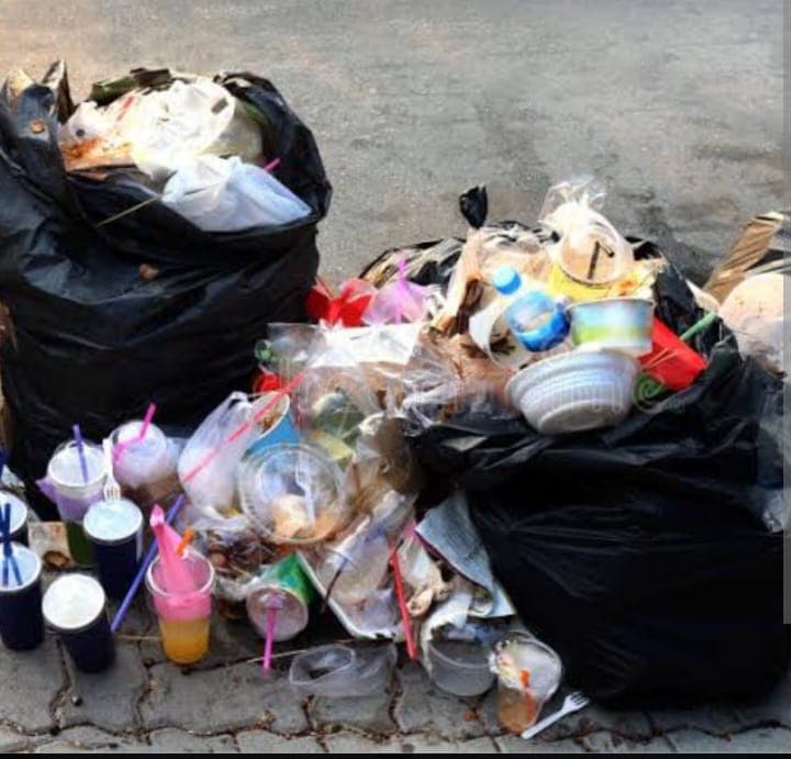 Garbage Collections & Disposal service